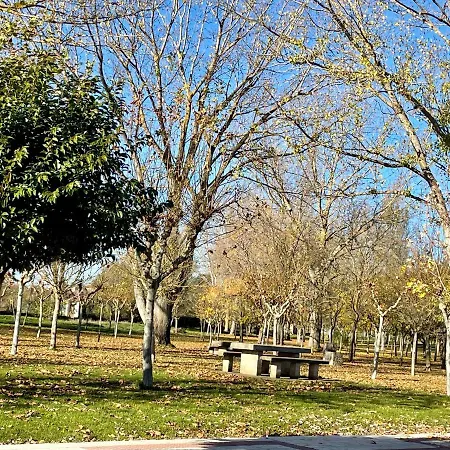 Apartamento Entero 2 Daire León